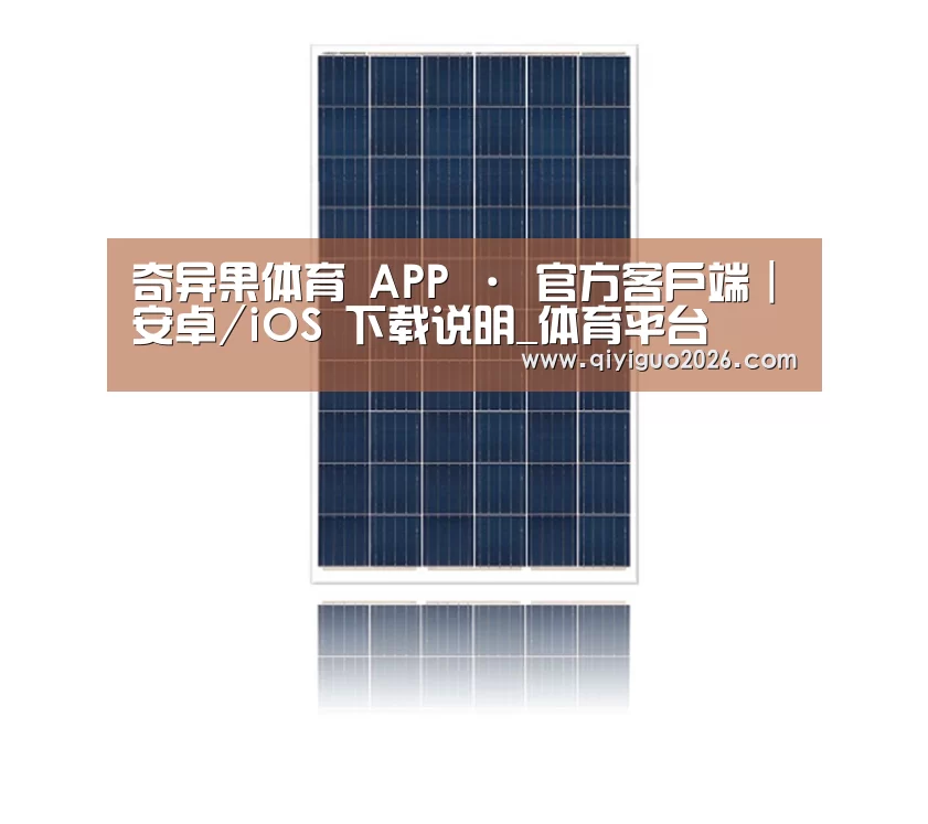 产品名称一