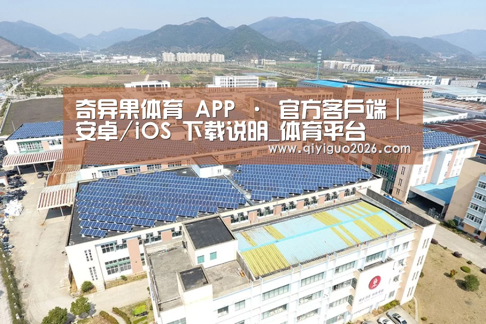 案例展示四