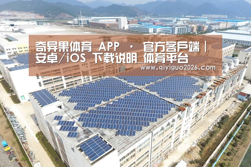 案例展示三