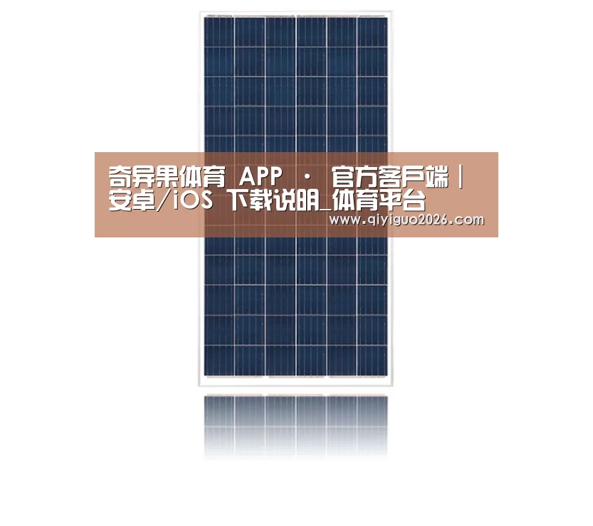 产品名称一