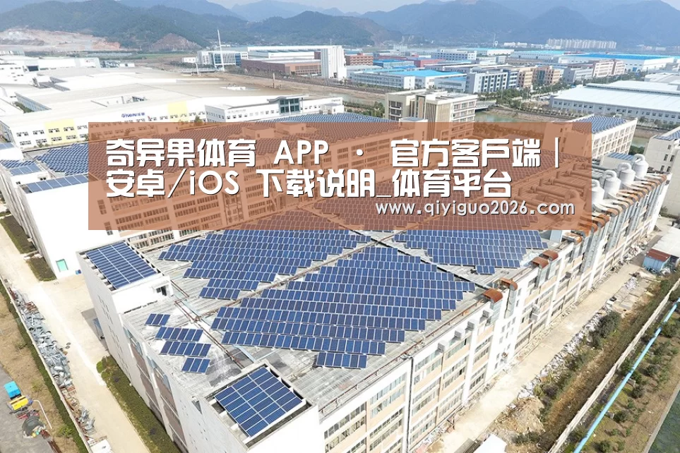 案例展示四