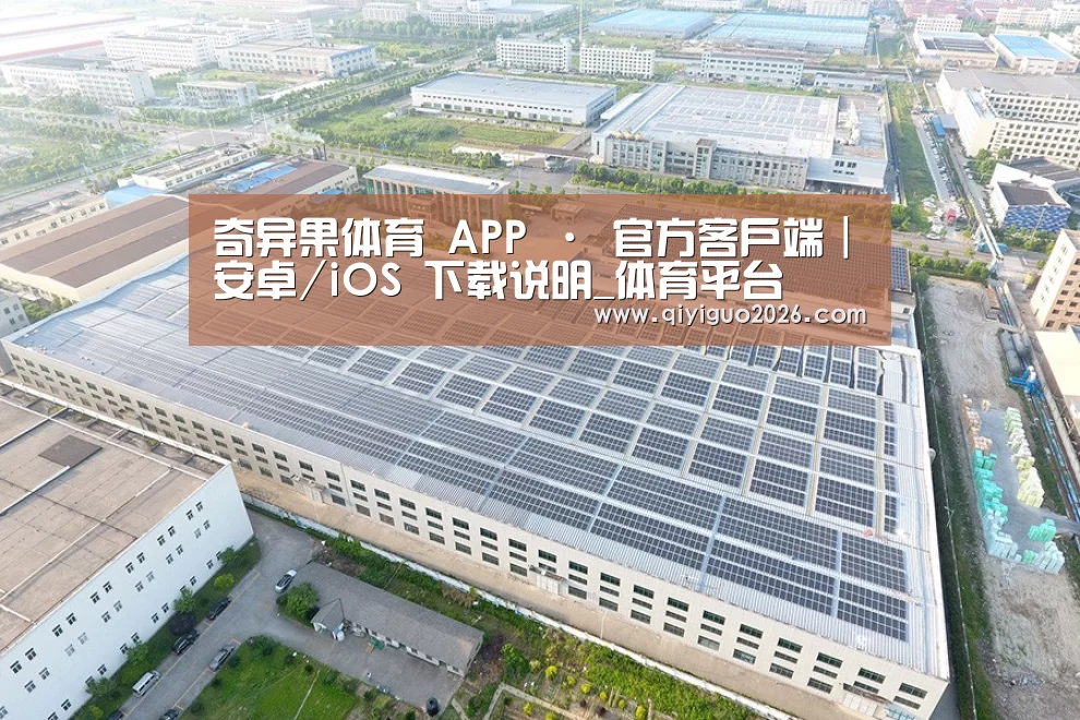 案例展示二