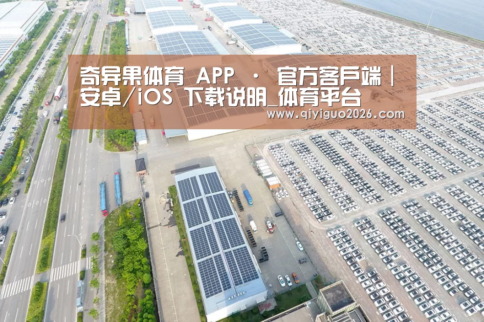 案例展示一