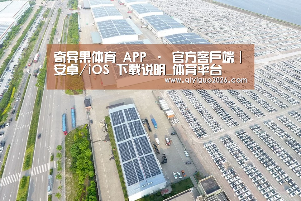 案例展示四