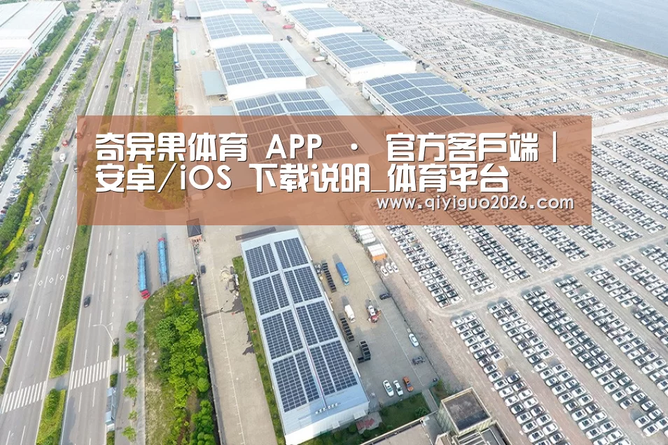 案例展示三