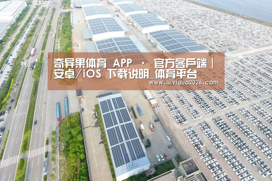 案例展示二