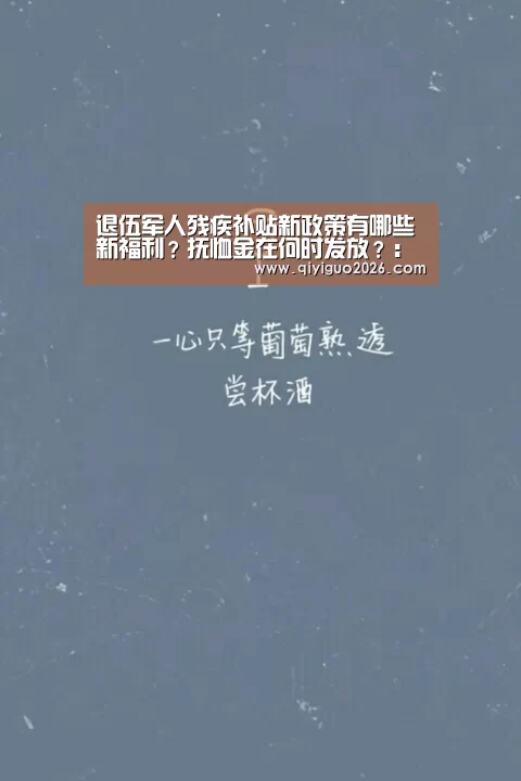 退伍军人残疾补贴新政策有哪些新福利?抚恤金在何时发放?:奇异果体育下载(图3) 奇异果体育下载