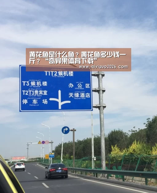 黄花鱼是什么鱼?黄花鱼多少钱一斤?“奇异果体育下载”(图3) 奇异果体育下载