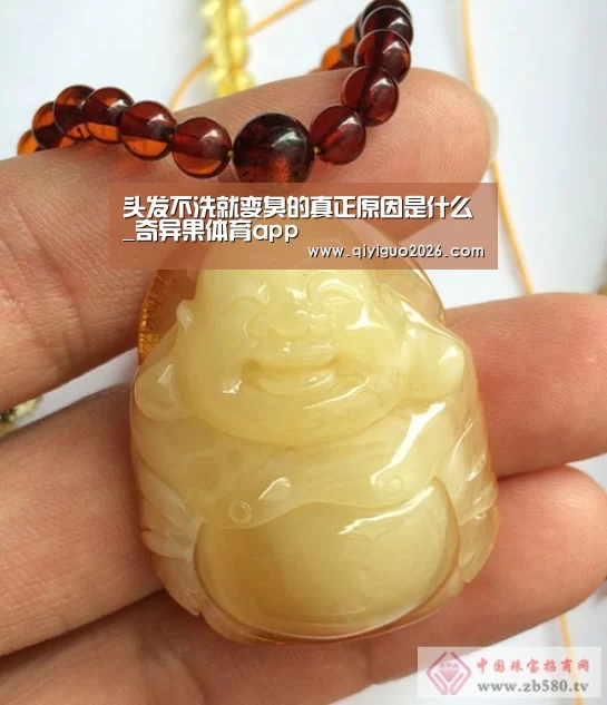 奇异果体育下载官网