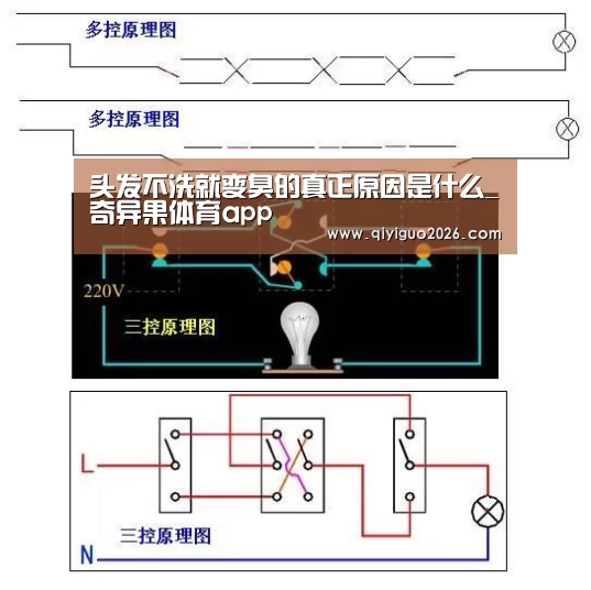 奇异果体育app