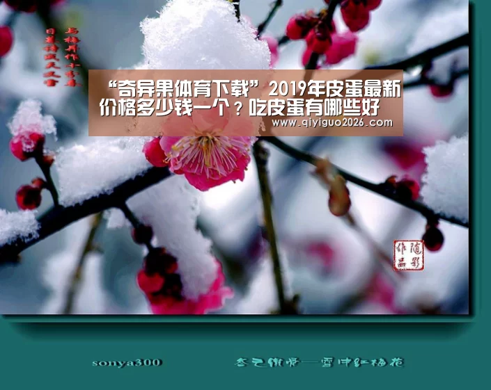 “奇异果体育下载”2019年皮蛋最新价格多少钱一个?吃皮蛋有哪些好处与坏处?(图1) 奇异果体育下载app