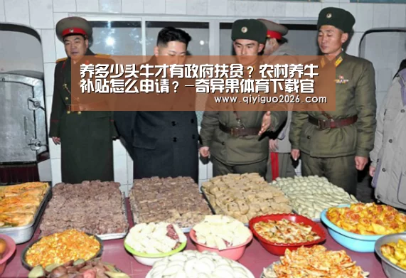 奇异果体育下载官网