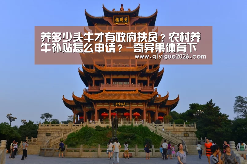 奇异果体育app