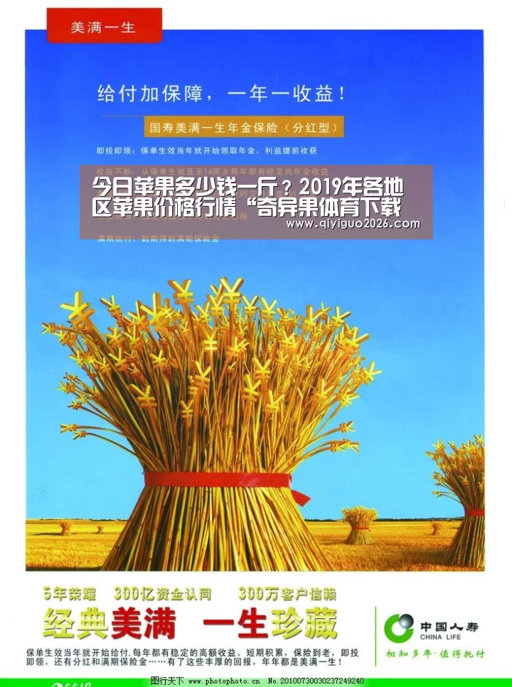 今日苹果多少钱一斤?2019年各地区苹果价格行情“奇异果体育下载官网”(图1) 奇异果体育下载官网